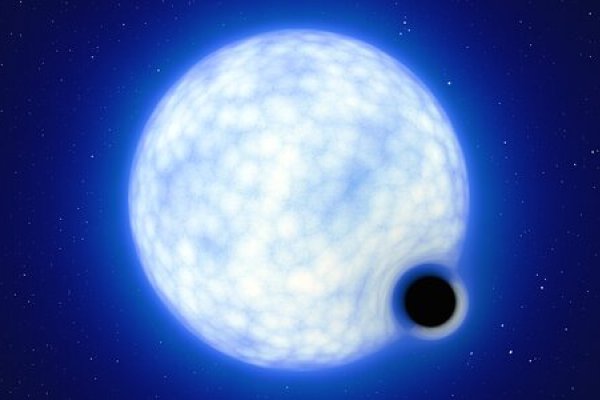 Artist’s impression of the black hole in NGC 1850 distorting its companion star
