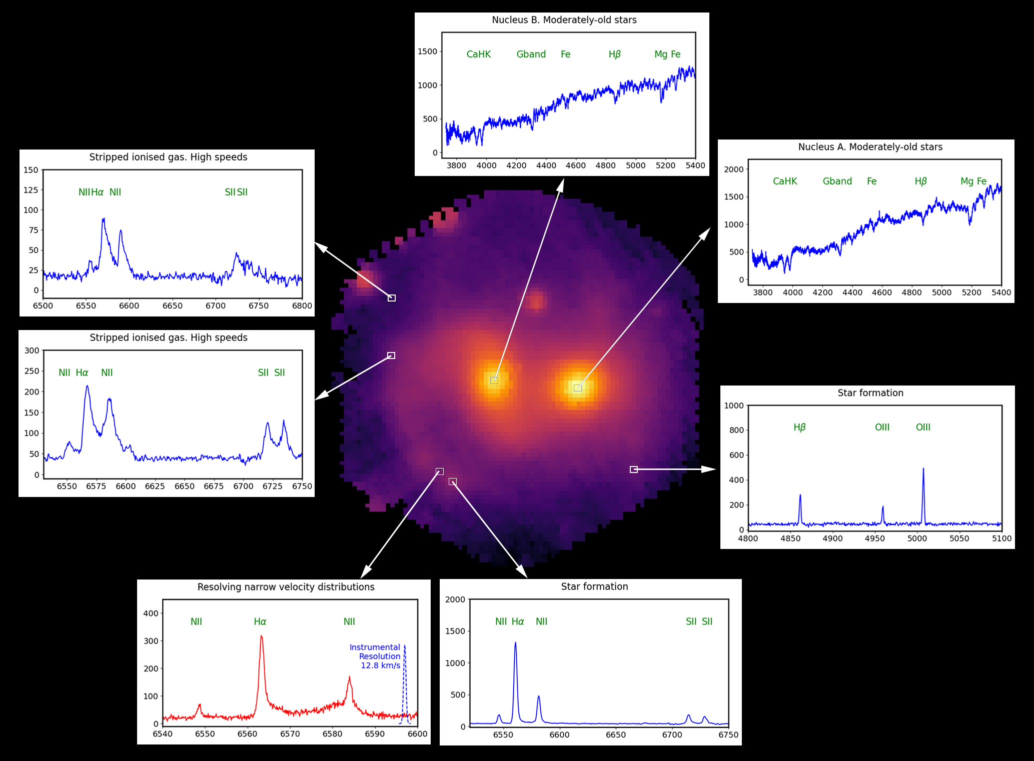 LIFU’s advantage comes from the large amount of information contained in each observation. Using small displacements of the pointer, the WEAVE spectrograph has produced, in two hours, spectra for 31,500 regions in and around these galaxies. The total light intensity of each of the fibres is used to form the image of the galaxies shown in the centre. The individual spectra (intensity at each wavelength; seven examples are shown) provide an amount of information about the physical conditions at each position. In both galaxy cores (top right) the spectra indicate moderately old stars (one billion years old) and no ongoing star formation. The narrow peaks obtained in the spectra on the lower right are typical of gas (hydrogen, oxygen, nitrogen and sulphur) heated to over 10.000 degrees by very young stars, while the broad, asymmetric peaks in the spectra shown on the left indicate turbulent collisions between gas clouds. The WEAVE spectrograph is particularly accurate at measuring wavelengths, i.e. speeds. In the lower left panel (in red), obtained in the high spectral resolution mode, very narrow speed distributions (of about 12.8 km/s) can be measured. Credits: Marc Balcells, Javier Méndez