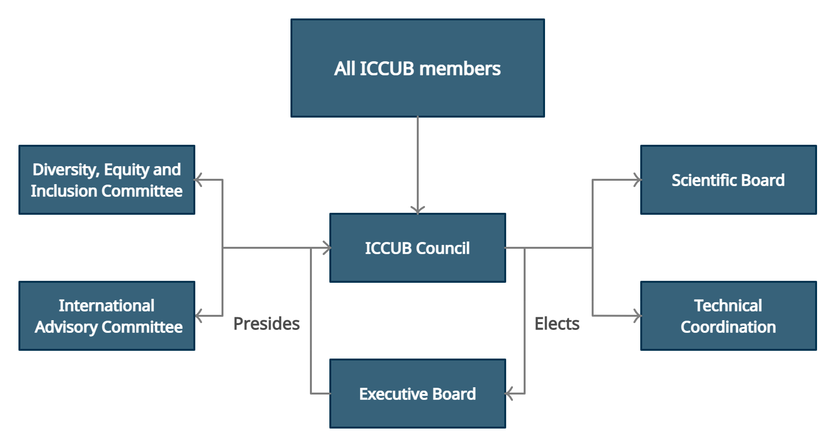 Organization Chart