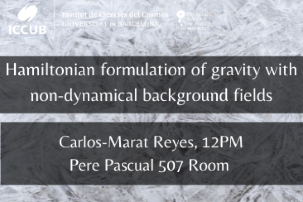 Hamiltonian formulation of gravity with non-dynamical background fields
