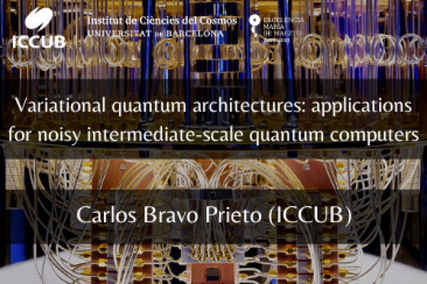 Variational quantum architectures: applications for noisy intermediate-scale quantum computers