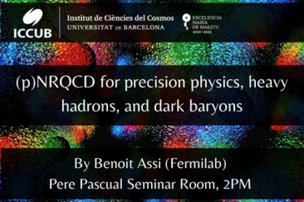 (p)NRQCD for precision physics, heavy hadrons, and dark baryons