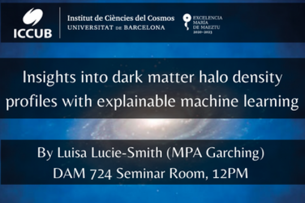 Insights into dark matter halo density profiles with explainable machine learning 