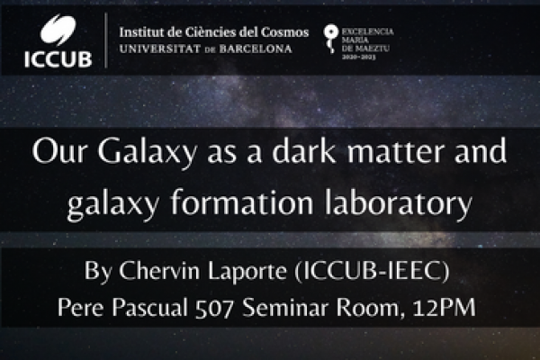 Our Galaxy as a dark matter and galaxy formation laboratory