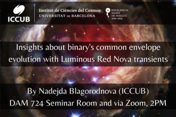 Insights about binary's common envelope evolution with Luminous Red Nova transients