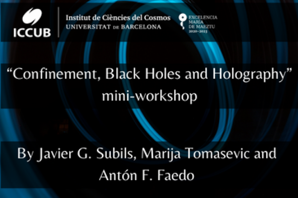 “Confinement, Black Holes and Holography” mini-workshop