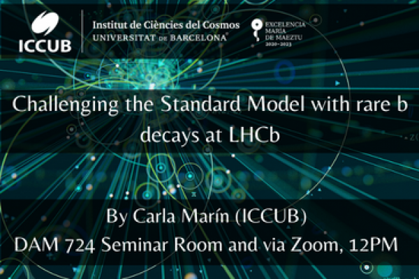 Challenging the Standard Model with rare b decays at LHCb