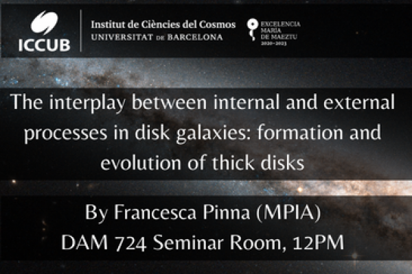The interplay between internal and external processes in disk galaxies: formation and evolution of thick disks