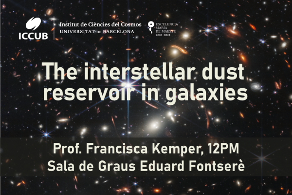 The interstellar dust reservoir in galaxies