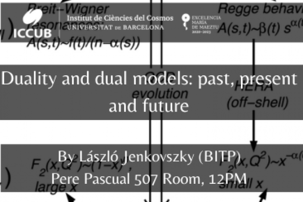 Duality and dual models: past, present and future