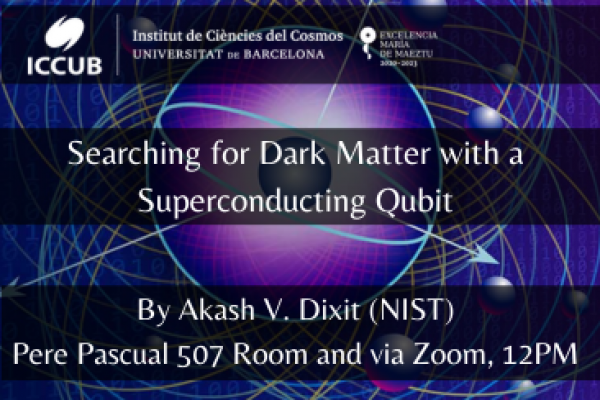 Searching for Dark Matter with a Superconducting Qubit