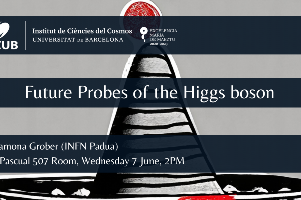 Future Probes of the Higgs boson