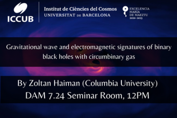 Gravitational wave and electromagnetic signatures of binary black holes with circumbinary gas