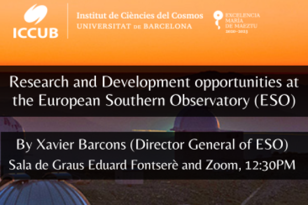Research and Development opportunities at the European Southern Observatory (ESO)