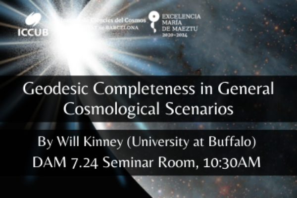 Geodesic Completeness in General Cosmological Scenarios