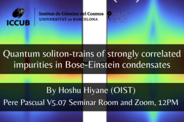 Quantum soliton-trains of strongly correlated impurities in Bose-Einstein condensates