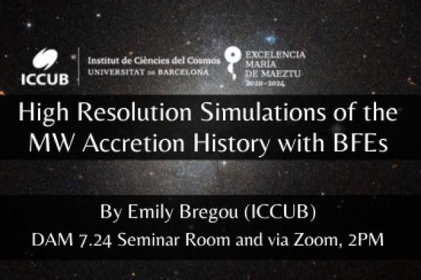 High Resolution Simulations of the MW Accretion History with BFEs