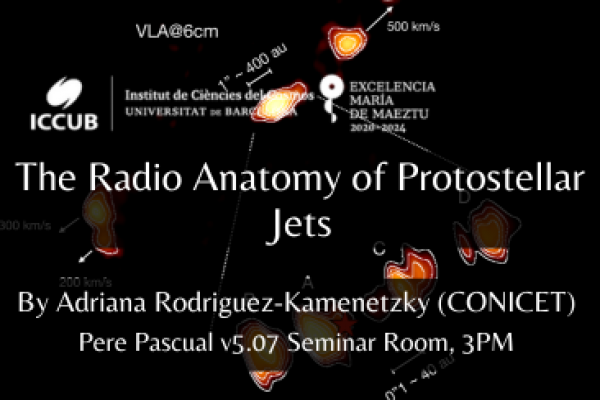 The Radio Anatomy of Protostellar Jets