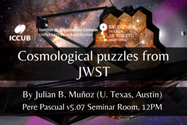 Cosmological puzzles from JWST