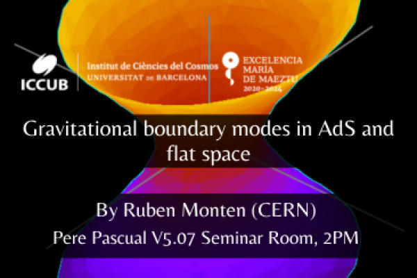 Gravitational boundary modes in AdS and flat space
