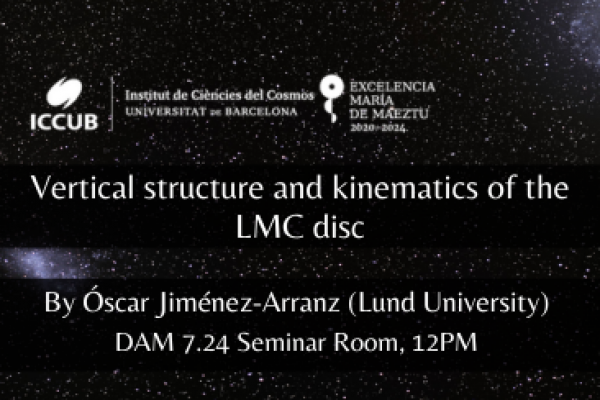 Vertical structure and kinematics of the LMC disc