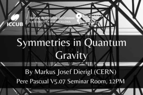 Symmetries in Quantum Gravity