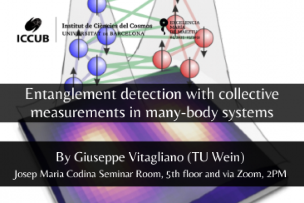 Entanglement detection with collective measurements in many-body systems