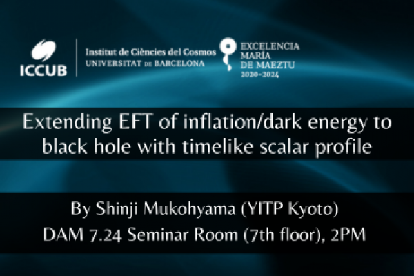 Extending EFT of inflation/dark energy to black hole with timelike scalar profile