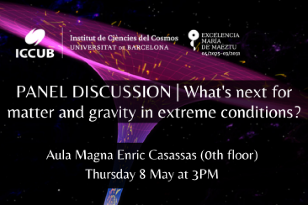 PANEL DISCUSSION | What's next for matter and gravity in extreme conditions?