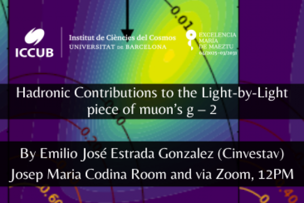 Hadronic Contributions to the Light-by-Light piece of muon’s g – 2