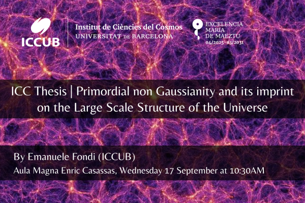 Primordial non Gaussianity and its imprint on the Large Scale Structure of the Universe