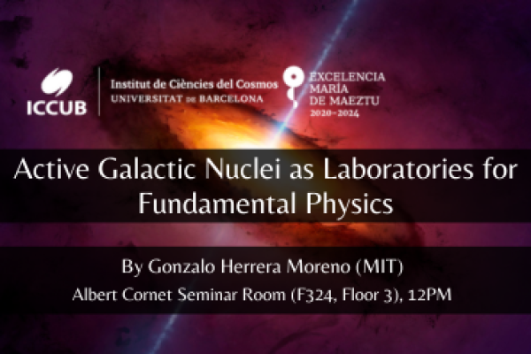 Active Galactic Nuclei as Laboratories for Fundamental Physics