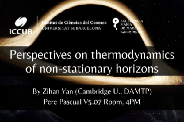Perspectives on thermodynamics of non-stationary horizons