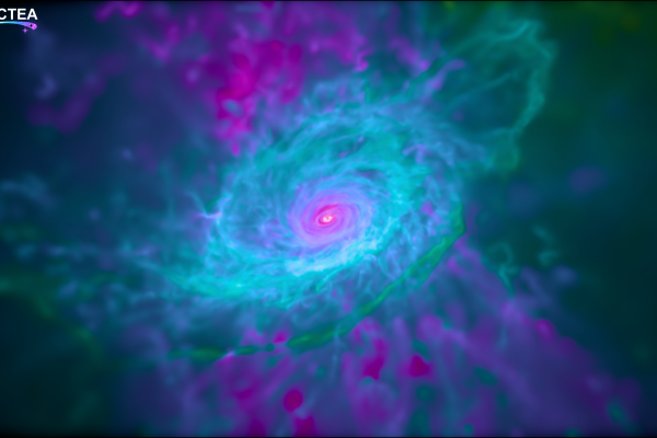 This image shows the gas disc in a computer simulation of a Milky Way-like galaxy from the Auriga suite. Colours represent the ratio of magnesium (Mg) to iron (Fe), revealing that the galactic centre (pink) is poor in Mg, while the outskirts (green) are Mg-rich. These chemical patterns provide important clues about how the galaxy formed. 