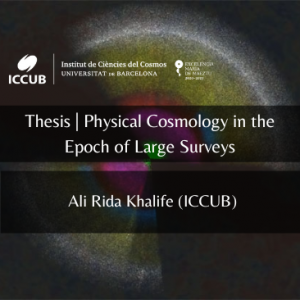 Physical Cosmology in the Epoch of Large Surveys
