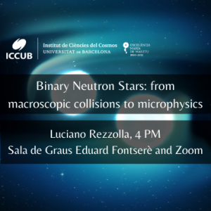 Binary Neutron Stars: from macroscopic collisions to microphysics