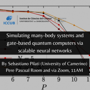Simulating many-body systems and gate-based quantum computers via scalable neural networks