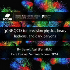 (p)NRQCD for precision physics, heavy hadrons, and dark baryons