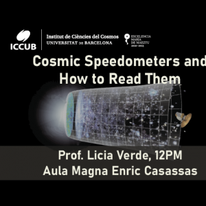 Cosmic speedometers and how to read them by Licia Verde