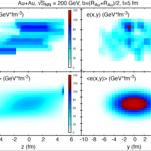 Initial state fluctuations in relativistic heavy ion collisions