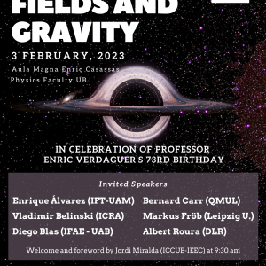 Quantum Fields and Gravity - Enric Fest 73