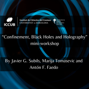 “Confinement, Black Holes and Holography” mini-workshop