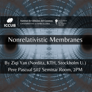 Nonrelativistic Membranes