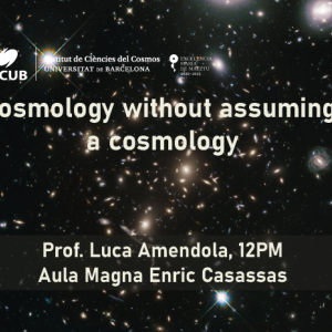 ICCUB Colloquium "Cosmology without assuming a cosmology" by prof. Luca Amendola (u. Heidelberg)