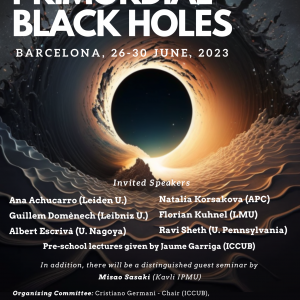 ICCUB School 2023_ Primordial Black Holes