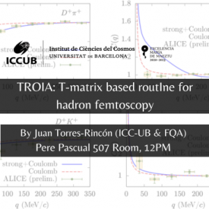 TROIA: T-matrix based routIne for hadron femtoscopy