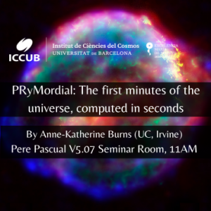 PRyMordial: The first minutes of the universe, computed in seconds