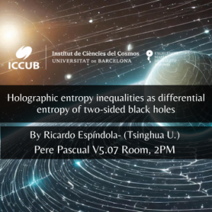 Holographic entropy inequalities as differential entropy of two-sided black holes
