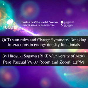 QCD sum rules and Charge Symmetry Breaking interactions in energy density functionals