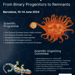 360º approach to Common Envelope Evolution: From Binary Progenitors to Remnants